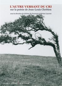 Produktbild: L autre versant du cri