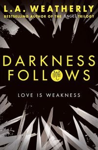 Produktbild: Darkness Follows