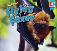 Produktbild: All about Flying Foxes