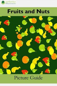Produktbild: Fruits and Nuts: A Picture Guide