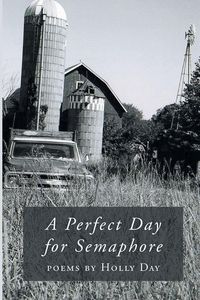 Produktbild: A Perfect Day for Semaphore