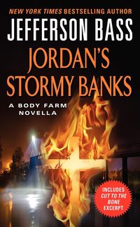 Produktbild: Jordans Stormy Banks