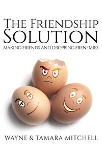 Produktbild: The Friendship Solution
