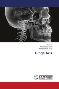Produktbild: Hinge Axis