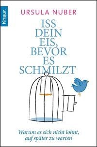 Produktbild: Iss dein Eis, bevor es schmilzt