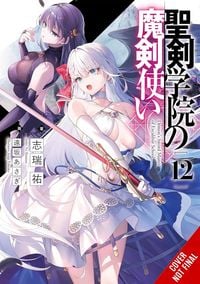 Produktbild: The Demon Sword Master of Excalibur Academy, Vol. 12 (light novel)