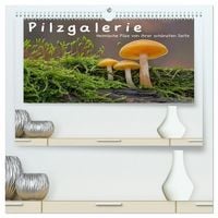 Produktbild: Pilzgalerie - Heimische Pilze von ihrer sch&ouml;nsten Seite (hochwertiger Premium Wandkalender 2026 DIN A2 quer), Kunstdruck in Hochglanz