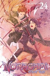 Produktbild: Noragami: Stray God 24