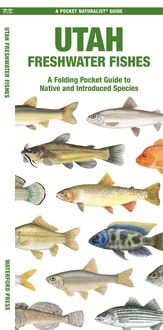 Produktbild: Utah Freshwater Fishes