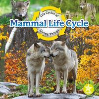 Produktbild: Mammal Life Cycle