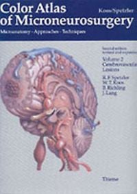 Produktbild: Cerebrovascular Lesions