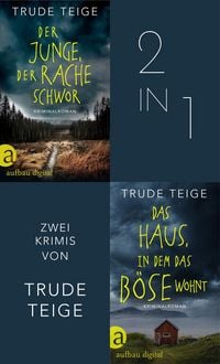 Produktbild: Der Junge, der Rache schwor & Das Haus, in dem das B&ouml;se wohnt