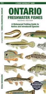 Produktbild: Ontario Freshwater Fishes