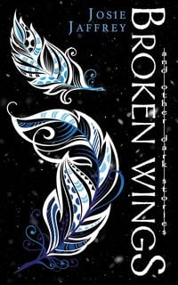 Produktbild: Broken Wings (Dark Stories, #1)