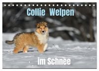 Produktbild: Collie Welpen im Schnee (Tischkalender 2027 DIN A5 quer), CALVENDO Monatskalender