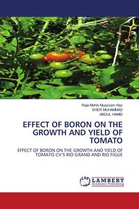 Produktbild: EFFECT OF BORON ON THE GROWTH AND YIELD OF TOMATO