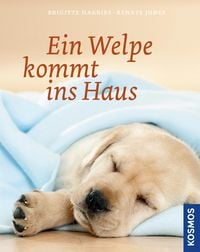 Produktbild: Ein Welpe kommt ins Haus