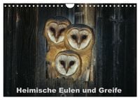 Produktbild: Heimische Eulen und Greife (Wandkalender 2026 DIN A4 quer), CALVENDO Monatskalender