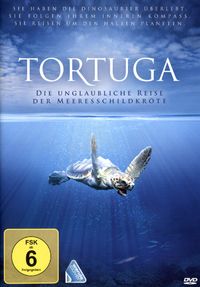 Bild vom Artikel Tortuga - Die unglaubliche Reise der Meeresschildkröte vom Autor Miranda Richardson