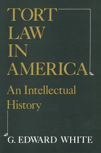 Produktbild: Tort Law in America