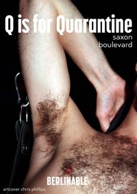 Produktbild: Q is for Quarantine