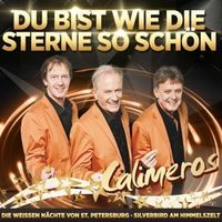 Produktbild: Jahrtausendhits-Du bist wie die Sterne so sch&ouml;n