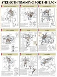 Produktbild: Delavier, F:  Strength Training for the Back