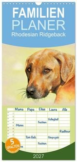 Produktbild: Familienplaner 2027 - Rhodesian Ridgeback 2027 mit 5 Spalten (Wandkalender, 21 x 45 cm) CALVENDO
