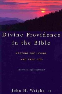 Produktbild: Divine Providence in the Bible