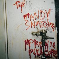 Bild vom Artikel Moronic Pleasures (LP+MP3) vom Autor The Candy Snatchers