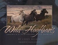 Produktbild: Wild Hoofbeats