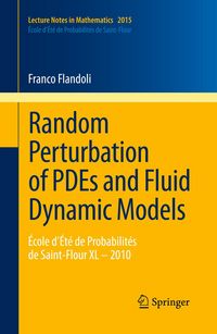 Produktbild: Random Perturbation of PDEs and Fluid Dynamic Models
