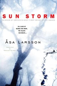 Bild vom Artikel Sun Storm vom Autor Åsa Larsson