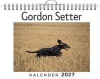 Produktbild: Gordon Setter