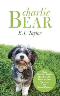 Produktbild: Charlie Bear