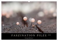 Produktbild: FASZINATION PILZE 2026 (Wandkalender 2026 DIN A2 quer), CALVENDO Monatskalender