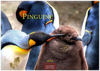 Bild vom Artikel Pinguine 2024 S 24x35cm vom Autor 