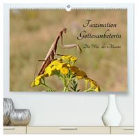 Produktbild: Faszination Gottesanbeterin - Die Welt der Mantis (hochwertiger Premium Wandkalender 2026 DIN A2 quer), Kunstdruck in Hochglanz