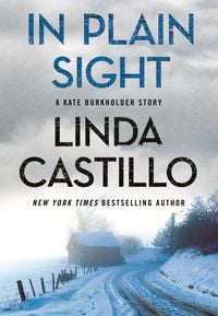 Produktbild: In Plain Sight