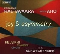 Produktbild: Schweckendiek, N: Joy and asymmetry