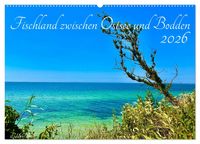 Produktbild: Fischland zwischen Ostsee und Bodden (Wandkalender 2026 DIN A2 quer), CALVENDO Monatskalender