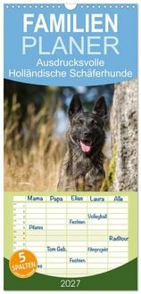 Produktbild: Familienplaner 2027 - ausdrucksvolle Holl&auml;ndische Sch&auml;ferhunde mit 5 Spalten (Wandkalender, 21 x 45 cm) CALVENDO