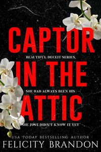 Produktbild: Captor In The Attic