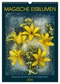 Produktbild: Magische Eisblumen (Wandkalender 2026 DIN A3 hoch), CALVENDO Monatskalender