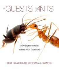 Produktbild: The Guests of Ants