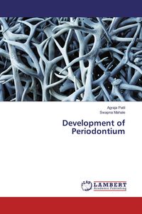 Produktbild: Development of Periodontium