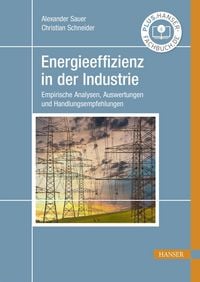 Produktbild: Energieeffizienz in der Industrie