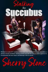Produktbild: Stalking the Succubus