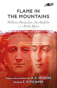 Produktbild: Flame in The Mountains