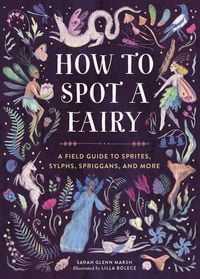 Produktbild: How to Spot a Fairy